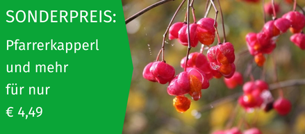 Weiden Angebot