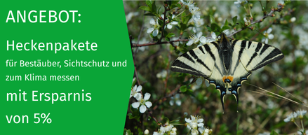 Biodiversitäts Hecke